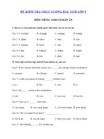 Tải Đề khảo sát đầu năm lớp 9 môn tiếng Anh năm 2020 - 2021 - Đề thi khảo sát chất lượng đầu năm lớp 9 môn tiếng Anh có đáp án