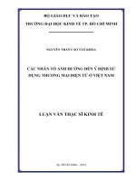 (Luận văn thạc sĩ) các nhân tố ảnh hưởng đến ý định sử dụng thương mại điện tử ở việt nam 