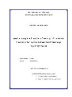 (Luận văn thạc sĩ) hoàn thiện kế toán công cụ tài chính trong các ngân hàng thương mại tại việt nam  luận án tiến sĩ 