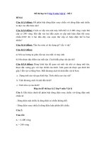 Tải Đề thi học kì 2 lớp 9 môn Vật lý - Đề 2 - Đề kiểm tra học kì 2 lớp 9 môn Vật lý có đáp án