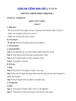 Tải Giáo án Tiếng Anh lớp 1 Tuần 30 sách First Friends 1 - Giáo án môn tiếng Anh lớp 1 theo tuần