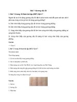 Tải Giải bài tập SGK Vật lý lớp 7 bài 7: Gương cầu lồi - Giải bài tập Vật lý lớp 7 bài 7