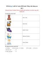 Tải Đề thi lớp 2 cuối kì 2 năm 2020 môn Tiếng Anh nâng cao - Đề 2 - Đề kiểm tra tiếng Anh lớp 2 học kì 2 có đáp án