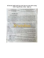 Tải Đề thi thử THPT Quốc gia môn Ngữ văn năm 2019 trường THPT Nguyễn Duy Trinh - Nghệ An - Đề minh họa Ngữ văn năm 2019