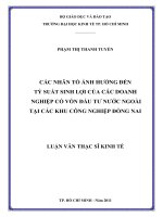(Luận văn thạc sĩ) các nhân tố ảnh hưởng đến tỷ suất sinh lợi của các doanh nghiệp có vốn đầu tư nước ngoài tại các khu công nghiệp đồng nai 