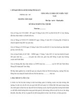 Tải Kế hoạch kiểm tra nội bộ trường Tiểu học - HoaTieu.vn