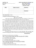 Tải Đề thi học kì 2 môn Tiếng Việt lớp 5 theo Thông tư 22 - Đề kiểm tra học kì 2 môn Tiếng Việt lớp 5 có bảng ma trận đề thi