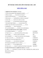 Tải Đề thi học sinh giỏi môn Tiếng Anh lớp 8 năm học 2018 - 2019 số 10 - Ôn thi học sinh giỏi lớp 8 môn Tiếng Anh