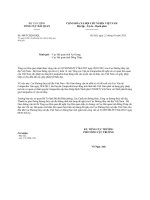 TCHQ-GSQL - HoaTieu.vn