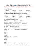 Tải Đề thi tiếng Anh lớp 5 cuối học kì 2 năm 2020 - Đề 1 - Đề kiểm tra học kỳ 2 lớp 5 môn Anh có đáp án