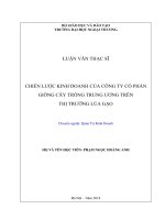 Luận văn Thạc sĩ Quản trị kinh doanh: Chiến lược kinh doanh của công ty cổ phần Giống cây trồng trung ương trên thị trường lúa gạo