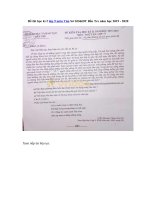 Tải Đề thi học kì 2 lớp 9 môn Văn Sở GD&ĐT Bến Tre năm học 2019 - 2020 - Đề kiểm tra HK 2 lớp 9 môn Văn