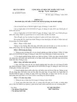 Tải Mẫu Quy chế kiểm toán nội bộ áp dụng cho doanh nghiệp - HoaTieu.vn