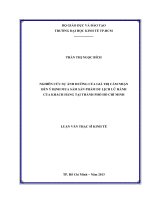 (Luận văn thạc sĩ) nghiên cứu sự ảnh hưởng của giá trị cảm nhận đến ý định mua sắm sản phẩm du lịch lữ hành của khách hàng tại thành phố hồ chí minh  