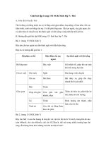 Tải Giải bài tập trang 151 SGK Sinh lớp 7: Thỏ - Giải bài tập môn Sinh học lớp 7