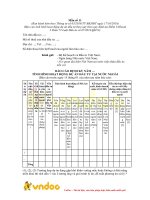 Tải Mẫu báo cáo định kỳ năm tình hình đầu tư dự án tại nước ngoài - HoaTieu.vn