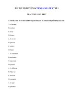 Tải Bài tập cuối tuần Tiếng Anh 8 tập 1 tuần 14 Practice and Test - Ôn tập Tiếng Anh lớp 8 theo từng Unit có đáp án