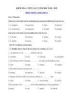 Tải Đề kiểm tra 45 phút số 3 môn Tiếng Anh lớp 11 năm học 2018 - 2019 - Đề kiểm tra môn Tiếng Anh lớp 11 có đáp án