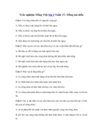 Tải Trắc nghiệm Tiếng Việt lớp 4 Tuần 17: Tiếng sáo diều - Giải bài tập Tiếng Việt lớp 4