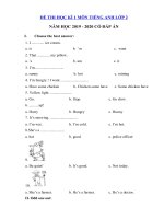 Tải Đề thi tiếng Anh học kì 1 lớp 2 năm 2019 - 2020 - Đề kiểm tra tiếng Anh lớp 2 có đáp án