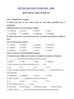 Tải Đề luyện thi học sinh giỏi lớp 9 môn Tiếng Anh năm học 2019 - 2020 - Đề ôn thi học sinh giỏi môn tiếng Anh lớp 9 có đáp án