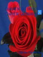 Tiết 13: phân tích đa thức thành nhân tử - Website Trường THCS Tây Sơn - Đại Lộc - Quảng Nam