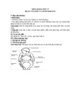 môn sinh 8 tiết 37bài 34 vitamin và muối khoángi mục tiêu bài học