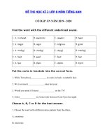 Tải Đề kiểm tra tiếng Anh lớp 8 học kì 2 năm 2019 - 2020 số 2 - Đề thi tiếng Anh lớp 8 học kì 2 có đáp án