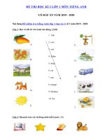 Tải Đề thi học kì 2 lớp 1 môn tiếng Anh thí điểm có đáp án - Đề thi môn Tiếng Anh lớp 1 học kì 2 năm 2019 - 2020