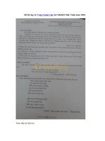 Tải Đề thi học kì 2 lớp 9 môn Văn Sở GD&ĐT Bắc Ninh năm 2020 - Đề kiểm tra chất lượng cuối năm lớp 9