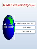 Bài 32: Vùng Đông Nam Bộ (tiếp theo)