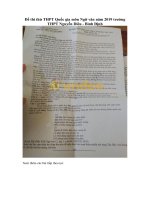 Tải Đề thi thử THPT Quốc gia môn Ngữ văn năm 2019 trường THPT Nguyễn Diêu - Bình Định - Đề minh họa Ngữ văn năm 2019