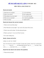Tải Đề thi học kì 1 lớp 4 môn tiếng Anh năm 2020 - 2021 số 2 - Đề thi tiếng Anh lớp 4 học kì 1 có đáp án