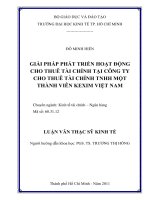 (Luận văn thạc sĩ) giải pháp phát triển hoạt động cho thuê tài chính tại công ty cho thuê tài chính TNHH một thành viên kexim việt nam 