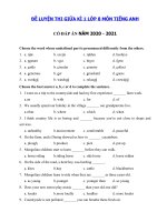 Tải Đề thi tiếng Anh lớp 8 giữa học kì 1 năm 2020 - 2021 - Đề thi giữa kì 1 lớp 8 môn tiếng Anh có đáp án