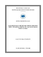 (Luận văn thạc sĩ) giải pháp hạn chế rủi ro trong phương thức tín dụng chứng từ tại ngân hàng TMCP á châu 
