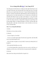 Tải Tả ca sĩ đang biểu diễn - Ca sĩ Sơn Tùng M-TP - Văn mẫu tả người lớp 5