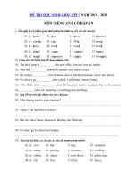 Tải Đề thi học sinh giỏi tiếng Anh lớp 3 năm 2019 - 2020 số 9 - Đề kiểm tra tiếng Anh lớp 3 có đáp án