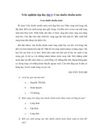 Tải Trắc nghiệm Con chuồn chuồn nước - Trắc nghiệm Tập đọc lớp 4