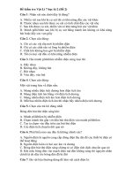 Tải Đề kiểm tra học kì 2 môn Vật lí lớp 7 - Đề số 2 - Đề thi học kì 2 Vật lý 7 có đáp án