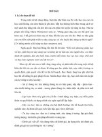 Sáng kiến kinh nghiệm, SKKN - Sử dụng phương pháp dạy học phát hiện và giải quyết vấn đề hỗ trợ dạy học-Bài tập hoá học thực tiễn chương halogen hoá học 10-trung học phổ thông