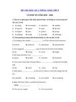 Tải Đề thi tiếng Anh lớp 9 học kì 2 sở GD&ĐT Quảng Nam năm 2019 - 2020 - Đề thi học kì 2 lớp 9 môn tiếng Anh có đáp án