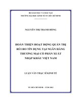 (Luận văn thạc sĩ) hoàn thiện hoạt động quản trị rủi ro tín dụng tại ngân hàng thương mại cổ phần xuất nhập khẩu việt nam 