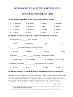 Tải Đề khảo sát đầu năm lớp 6 môn tiếng Anh năm 2020 - 2021 số 2 - Đề thi khảo sát chất lượng đầu năm lớp 6 môn tiếng Anh có đáp án