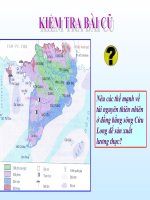 Bài 36: Vùng đồng bằng sông Cửu Long (tiếp theo)