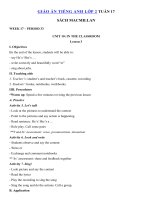 Tải Giáo án Tiếng Anh lớp 2 Tuần 17 sách Macmillan - Giáo án môn tiếng Anh lớp 2 theo tuần