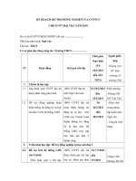 Tải Mẫu kế hoạch hỗ trợ đồng nghiệp giáo viên đại trà mô đun 3 - HoaTieu.vn