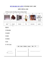 Tải Đề thi học kỳ 1 môn tiếng Anh lớp 2 năm học 2019 - 2020 theo giáo trình First Friend - Đề kiểm tra tiếng Anh lớp 2 có đáp án