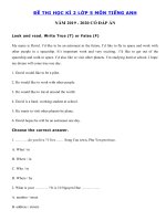 Tải Đề thi tiếng Anh lớp 5 học kỳ 2 năm 2019 - 2020 số 5 - Đề tiếng Anh lớp 5 học kì 2 có đáp án