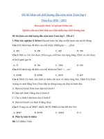 Tải Đề khảo sát chất lượng đầu năm môn Toán lớp 5 năm học 2020 - 2021 - Đề số 3 - Đề thi khảo sát chất lượng đầu năm lớp 5